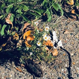 Meet your Posher, Briana